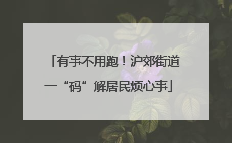 有事不用跑！沪郊街道一“码”解居民烦心事